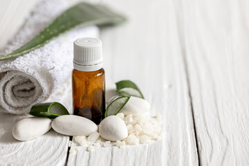 Spa composition with a jar of natural oil and aloe leaves with a towel.