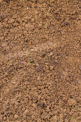 Land in the greenhouse for planting seeds in the spring