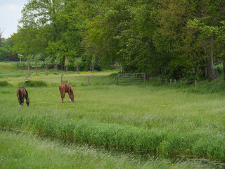 Das Dorf Loikum an der Issel 