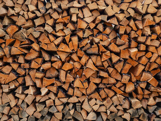 Firewood gathered in one place.