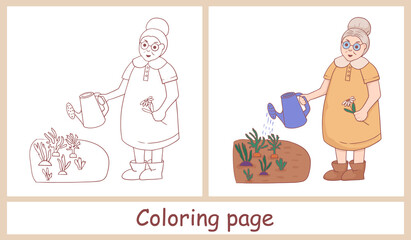 Cute female character. Grandmother with a watering can watering a flower in the vegetable garden. Line Art. Coloring for children and color picture for example. Vector illustration