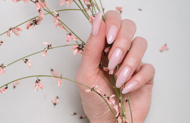 Beautiful female manicure and flowers close-up
