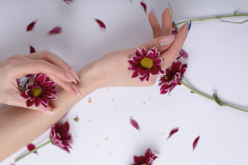 Obraz na płótnie Canvas Female hands and flowers on white background