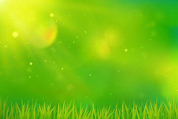 Fototapeta na wymiar Green Spring Background Blurred Abstract Design With Grass Sunlight
