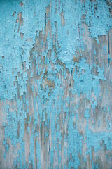 wooden texture. the old paint is scuffed. Turquoise color. Board. Painted timber.