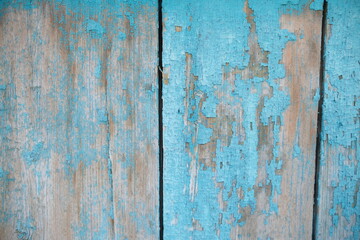 wooden texture. the old paint is scuffed. Turquoise color. Board. Painted timber. Vertical boards.