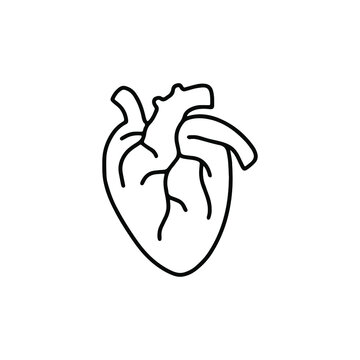 Heart icon. Hand drawn vector, outline illustration.