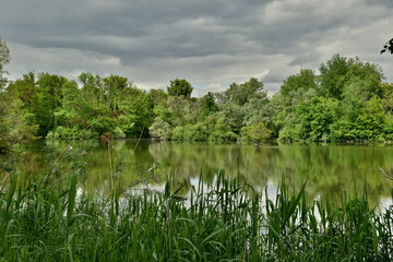 Fototapeta premium Frühlingslandschaft im Naturschutzgebiet Taubergießen