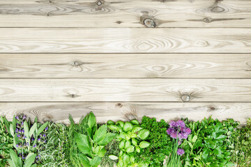 Fototapety  Fresh kitchen herbs wooden background. Organic food concept
