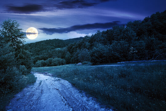 dirt road through forested countryside at night. beautiful summer rural landscape in mountains. adventure in nature scenery in full moon light