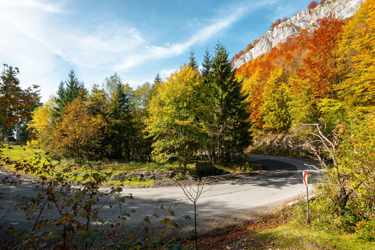 road winding through mountainous landscape. sunny nature scenery in autumn. Pietrele Negre, Apuseni Natural Park,  Bihor country, Romania