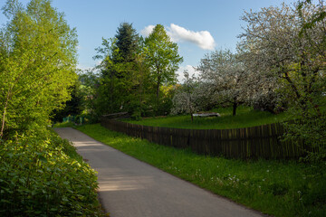 Une piste cyclable passe devant un jardin fruitier en fleurs avec une palissade en bois foncé. Le...