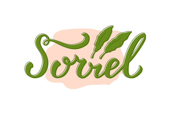 Vector illustration of sorrel lettering for packages, product design, banner, spice shop  price lists. Handwritten word with leaves for web or print
