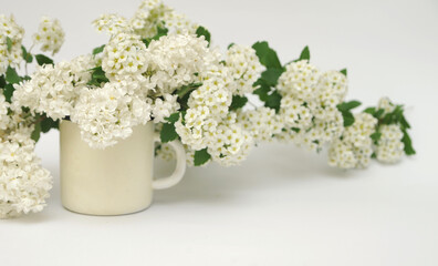 Branch of white lilac flowers in cup.