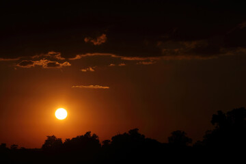 Sonnenuntergang Krüger Park Südafrika / Sundown Kruger Park South Africa /