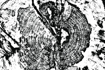 The grunge texture of an old tree stump with a dark core. Natural natural background. Vector illustration. Overlay Template.