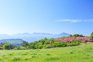 Fototapeta na wymiar 万年山から見たミヤマキリシマとくじゅう連山　大分県　MiyamaKirishima and Kuju mountain range seen from Mt.Haneyama Ooita-ken