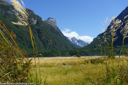 Grassy River Flat Between Converging Mountains