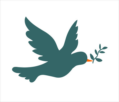 Paece dove isolated