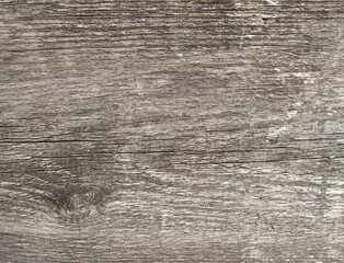 Texture of an old gray shabby wooden board