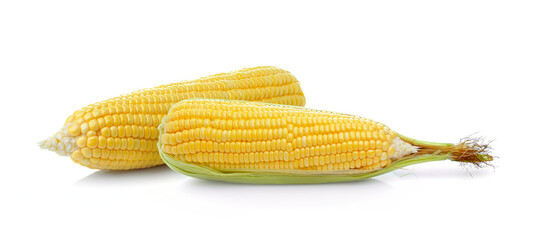corn isolated on white background