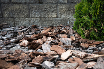 pieces of pine bark, decorative lawn covering, element of landscape design