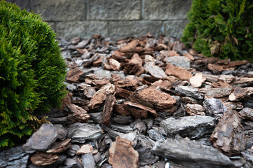 pieces of pine bark, decorative lawn covering, element of landscape design