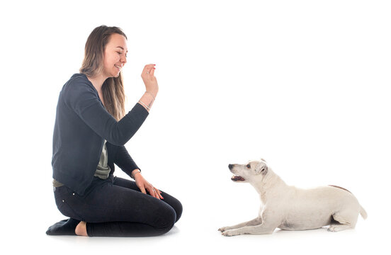 Jack Russel Terrier And Woman