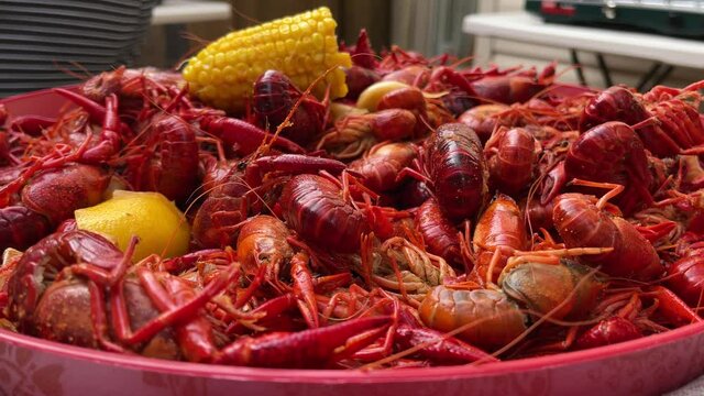 Crawfish