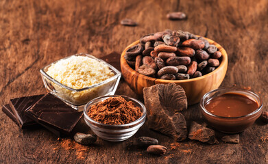 Various cocoa products set: beans, powder, butter, dark chocolate, grated cocoa on wooden table background