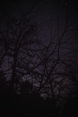 how many secrets do the stars keep?