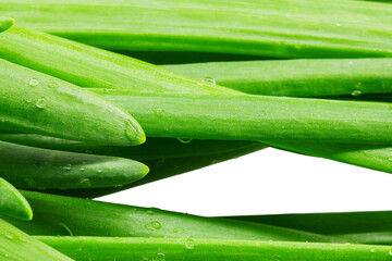 green onion macro, green onion feathers macro photo