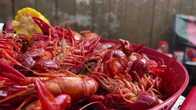Crawfish