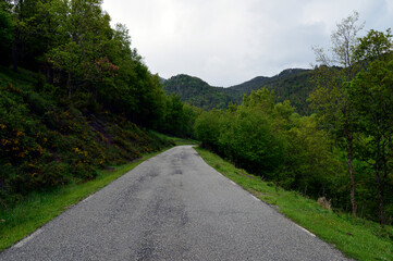 Fototapeta na wymiar Carretera secundaria rodeada de verdes praderas y bosques de robles y pinos en la Sierra de Montgrony. Gombrén, Cataluña, España.