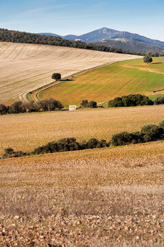 Sierra Luenga en los Montes de Toledo. Espa&ntilde;a. Europa.