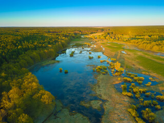 View from the drone on the flood meadows. Beautiful landscape on flood meadows from a bird's eye...