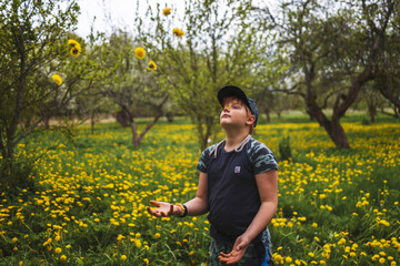 Fun boy in yellow dandelion meadow frolics