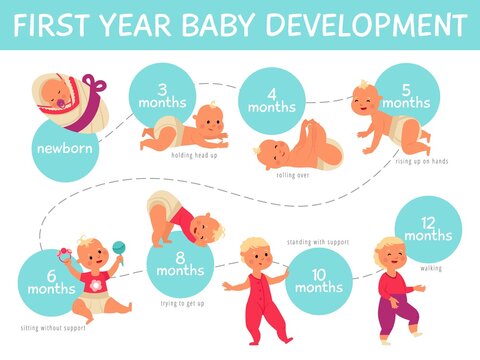 Baby growth infographics. Toddler development, infant child growing line month by month. Life process of cute newborn decent vector poster