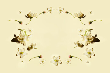 Creative layout made of apple flowers.