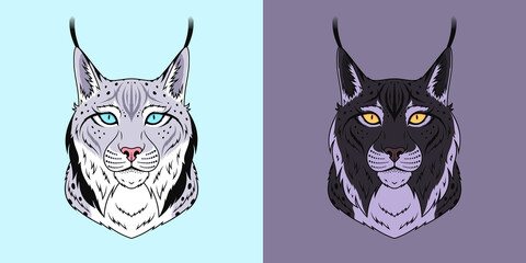 White and black lynx head with blue and golden eyes, isolated lynx face. Predatory bobcat