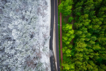 Aerial view of the road through the forest in summer and winter.