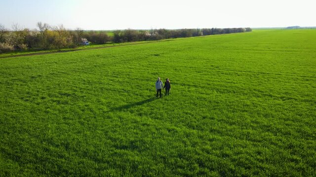 Aerial view of young couple on romantic date standing motionless in large green field with agricultural crops and enjoy moments at sunset in rays of light. Active healthy lifestyle and traveling