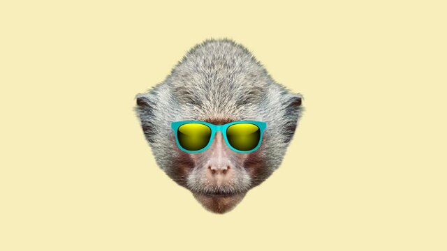 Monkey style wiggle moving color background. Abstract graphics in trendy colors and style. Seamless looped motion graphic animation.