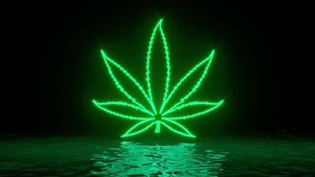 Glowing green neon cannabis weed marijuana leaf with reflections on water surface. Abstract background, waves, ultraviolet, spectrum vibrant colors. 3d render illustration. 4K video
