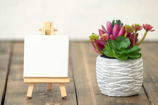 spring or summer composition on a wooden background. bright, beautiful red and green cactuses in a concrete planter near an empty molbert a wooden table.