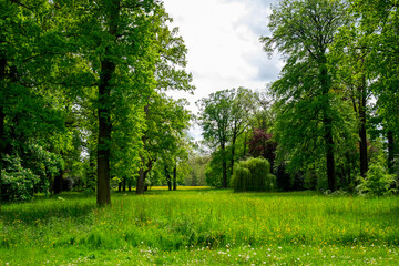 Spring has arrived and the Dutch landscape is flourishing