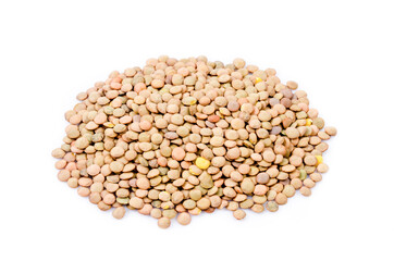 Lentils group isolated on white.
