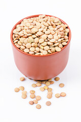 Brown Lentils in cup.