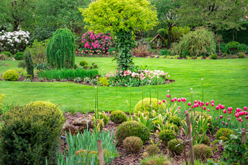 Ogród na wiosnę pełen kwiatów i roślin cebulowych i kwitnących tulipanów - obrazy, fototapety, plakaty