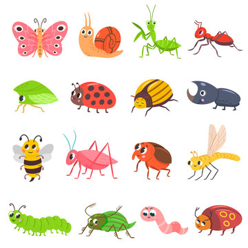 Cute insect set. Cartoon bug, beetle, butterfly, worm. Funny snail and ant. Happy smiling insect vector illustration set.